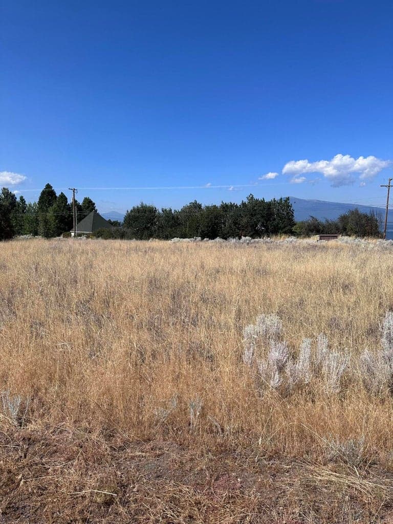 View of property