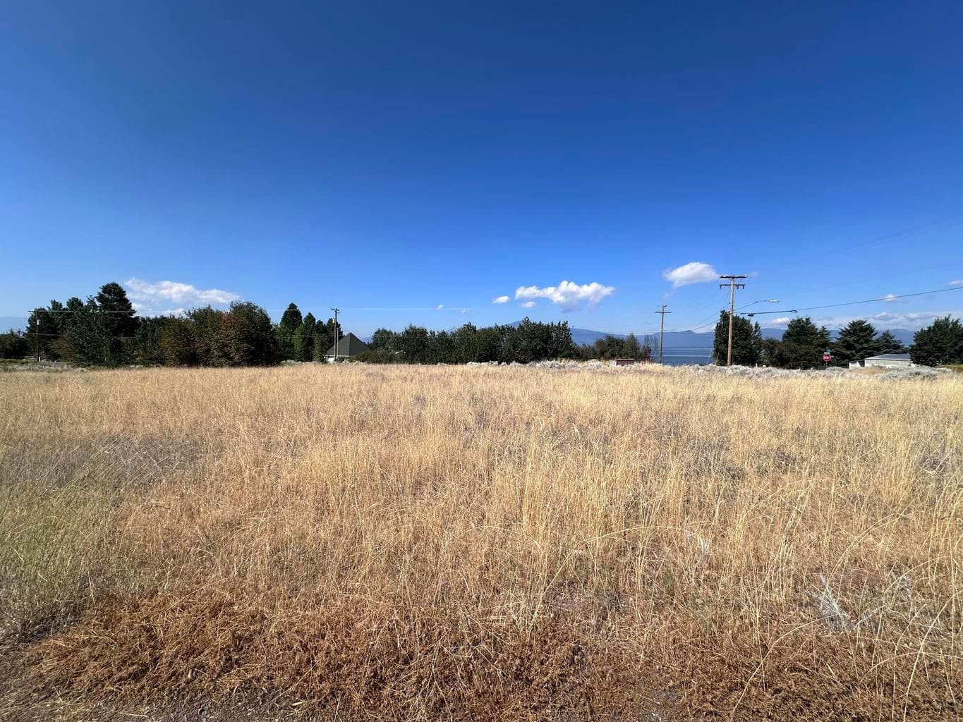 Lots 1 & 2 Golden Meadow