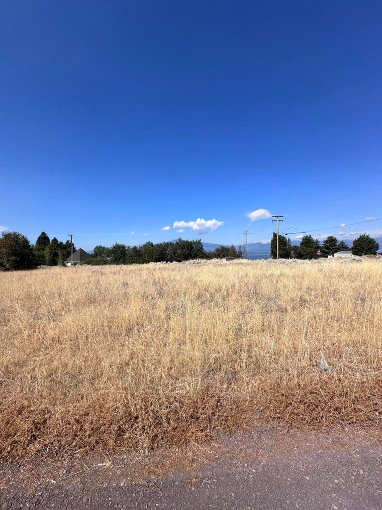 View of property from the road