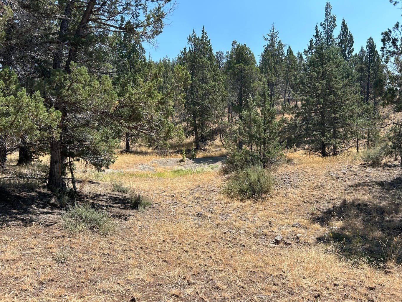 Photo of TL 1900 Simpson Road 6 of 7