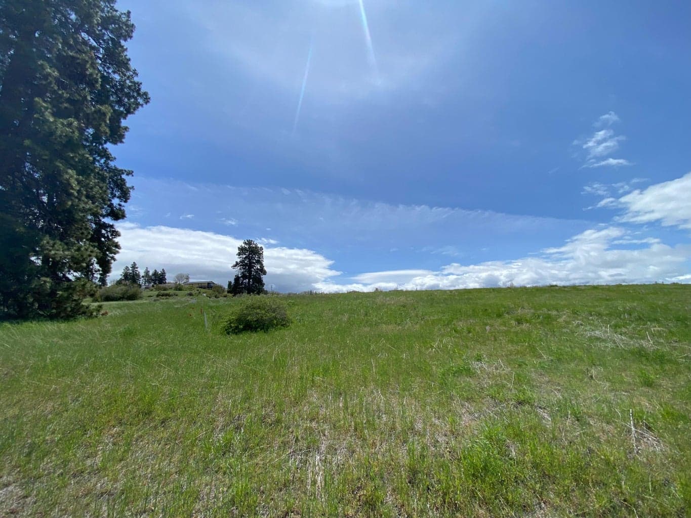 Photo of Elkwood 2 of 10
