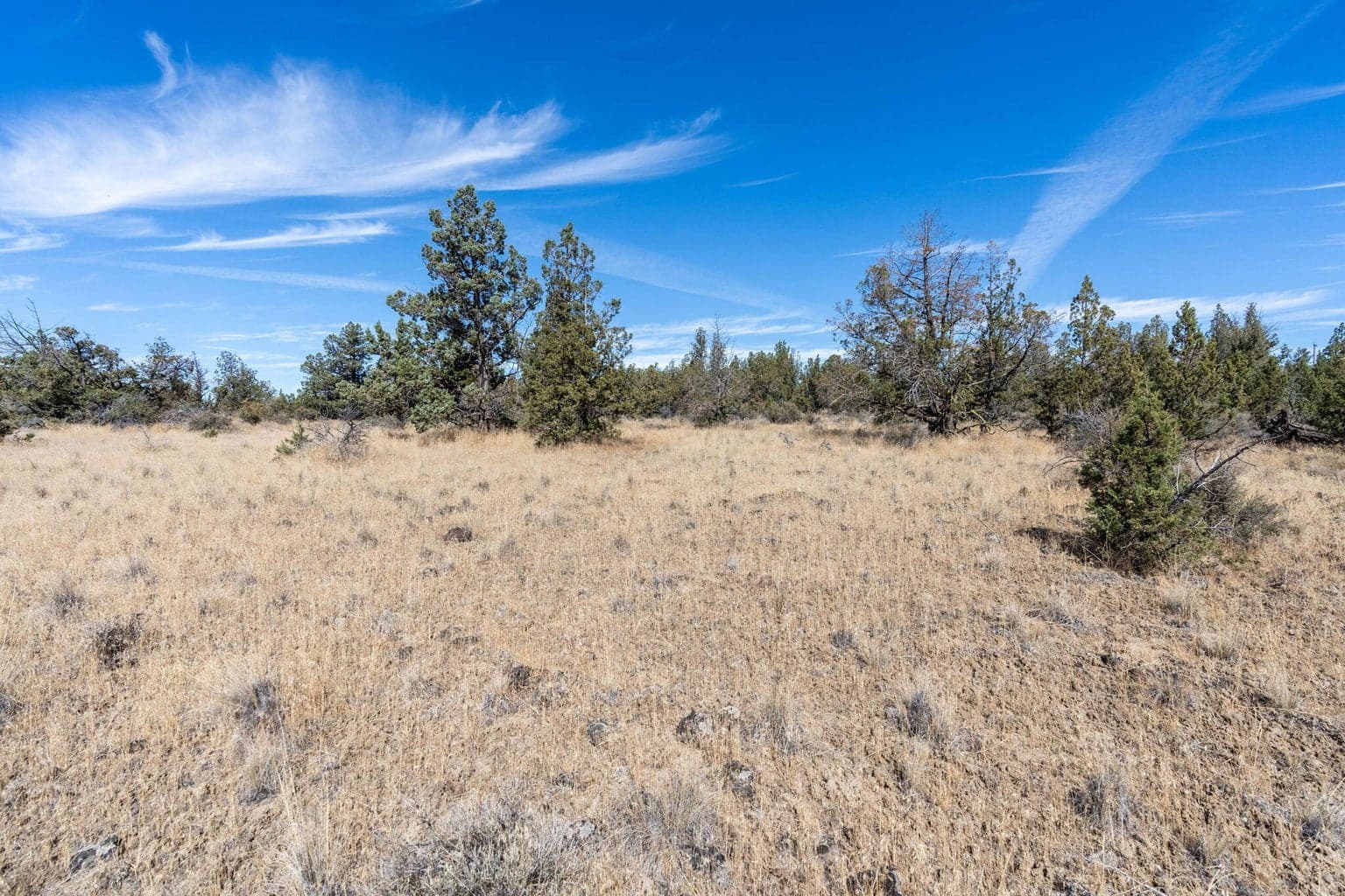 Photo of Lot 123 SE Odessa Road 6 of 15
