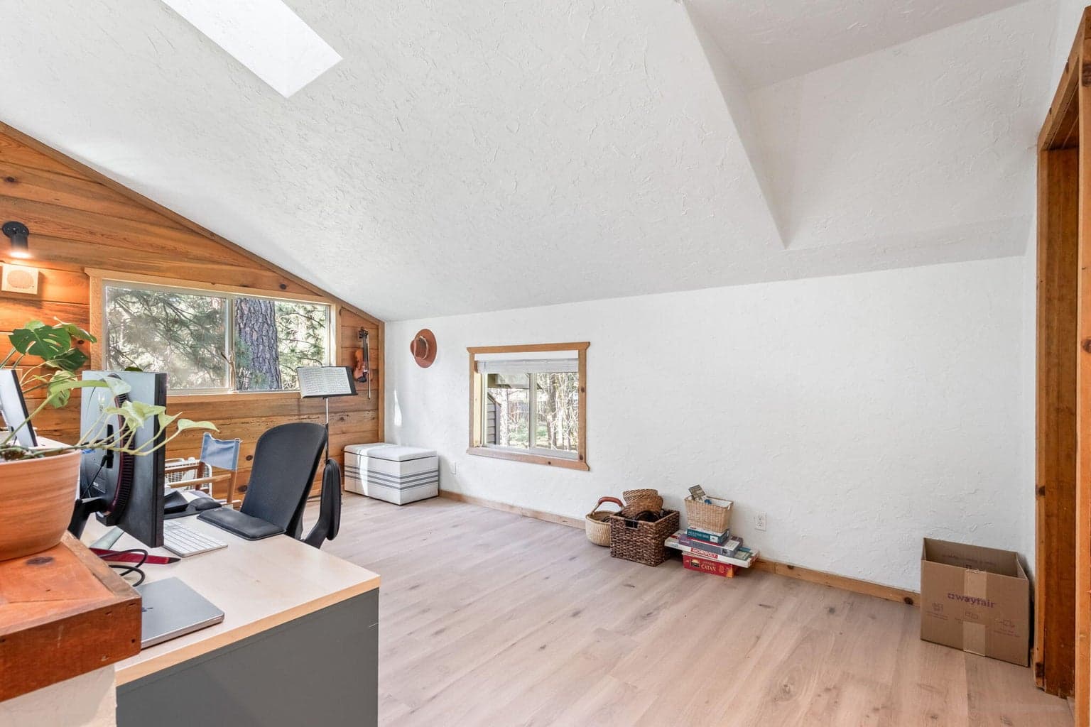 Photo of 14973 Buggy Whip 19 of 47