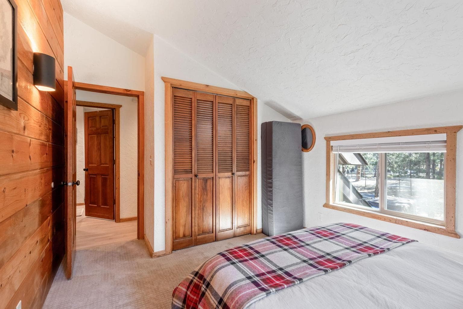 Photo of 14973 Buggy Whip 27 of 47