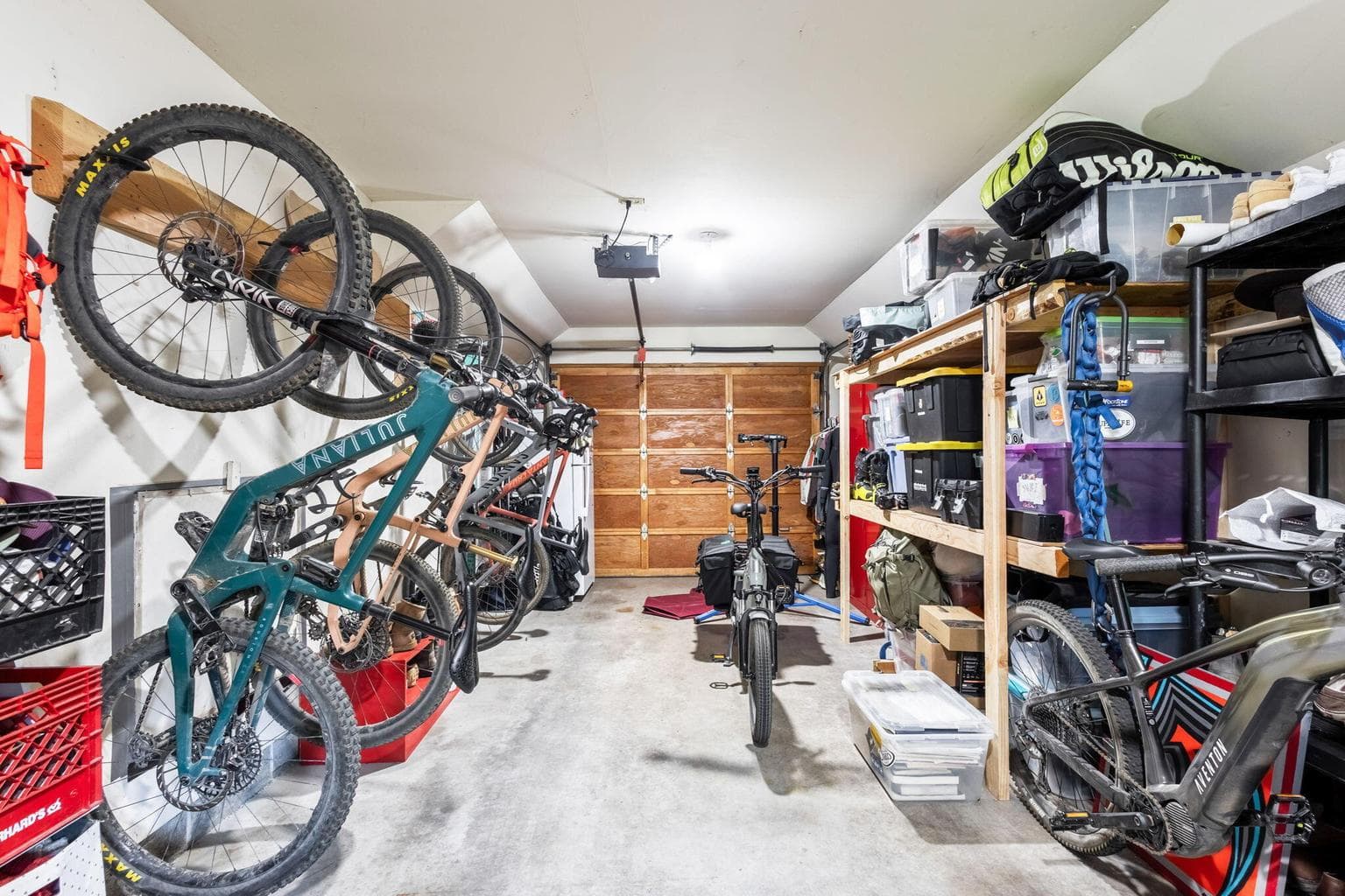 Photo of 14973 Buggy Whip 30 of 47
