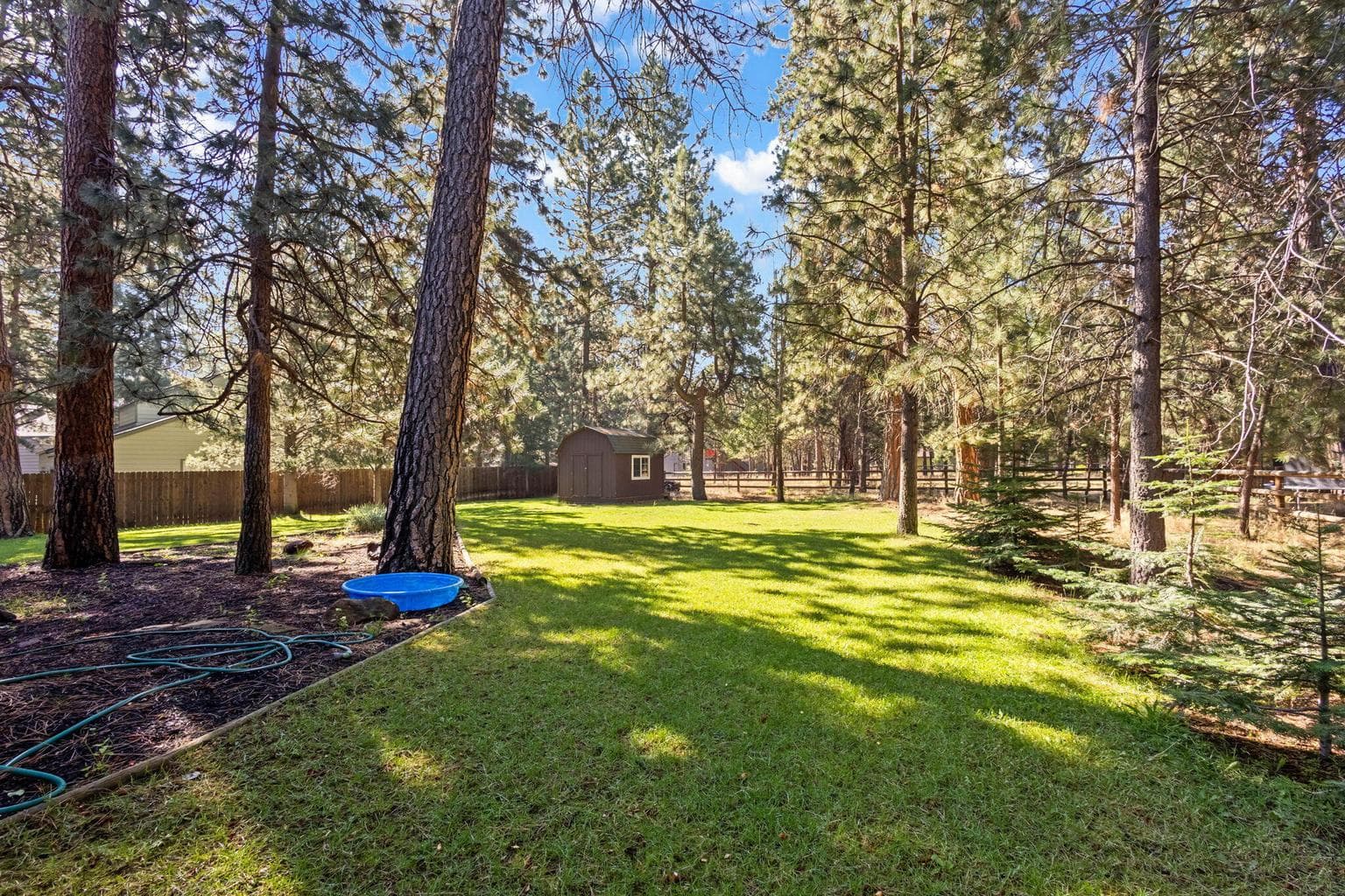 Photo of 14973 Buggy Whip 33 of 47