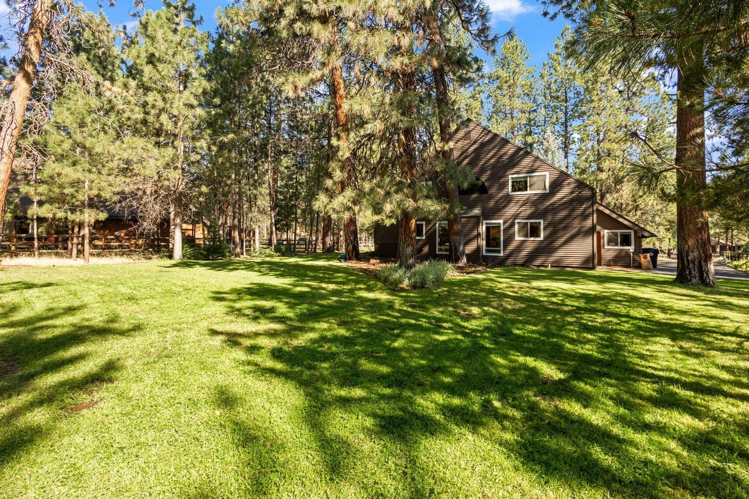 Photo of 14973 Buggy Whip 36 of 47