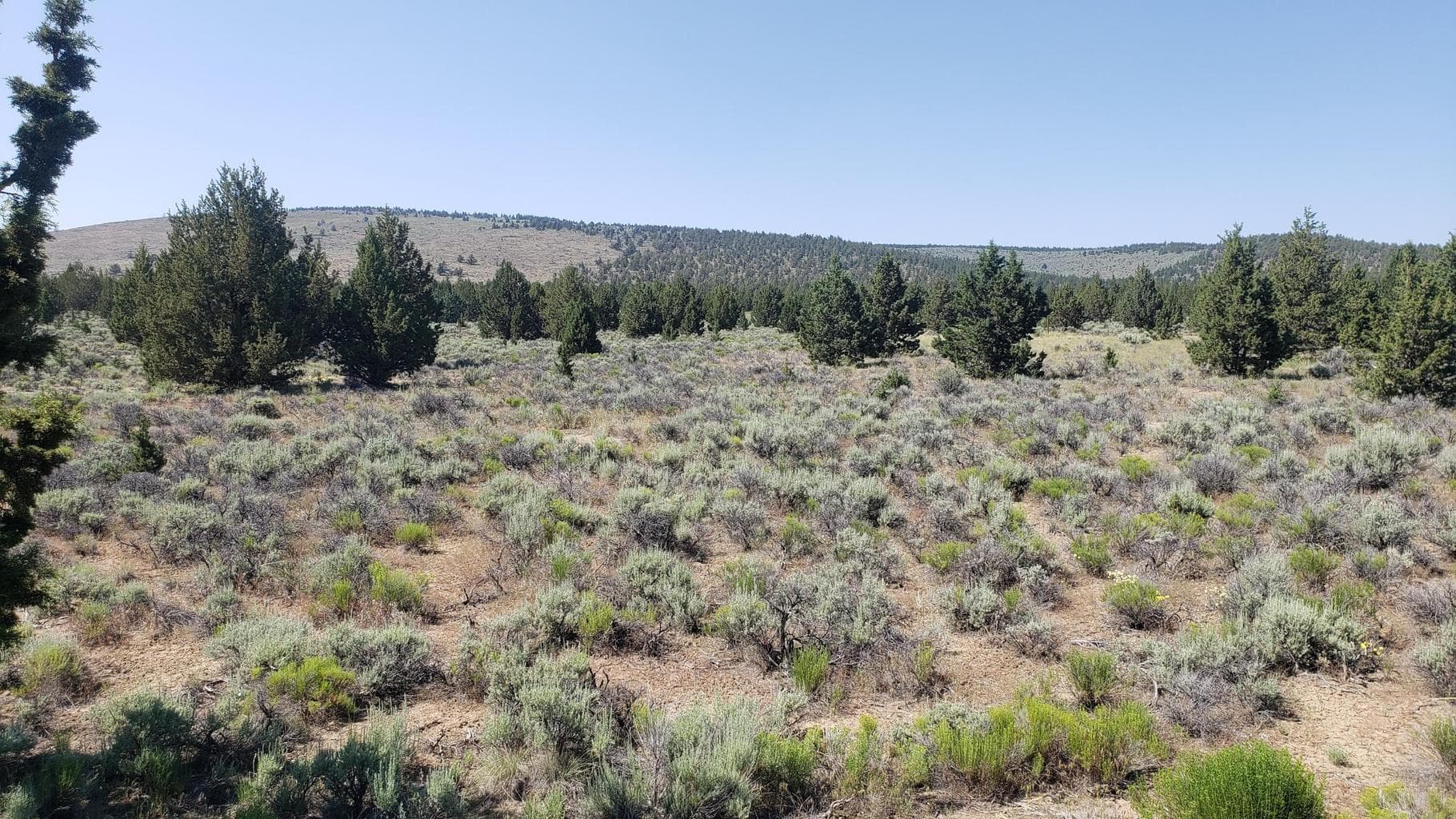 800 GoldenView Ranch