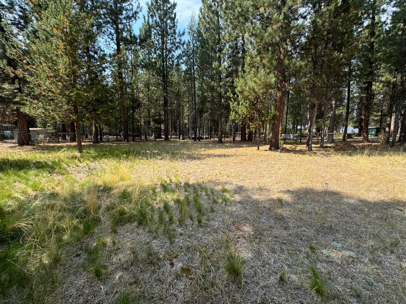 Photo of 148728 Snuffy Drive 36 of 37