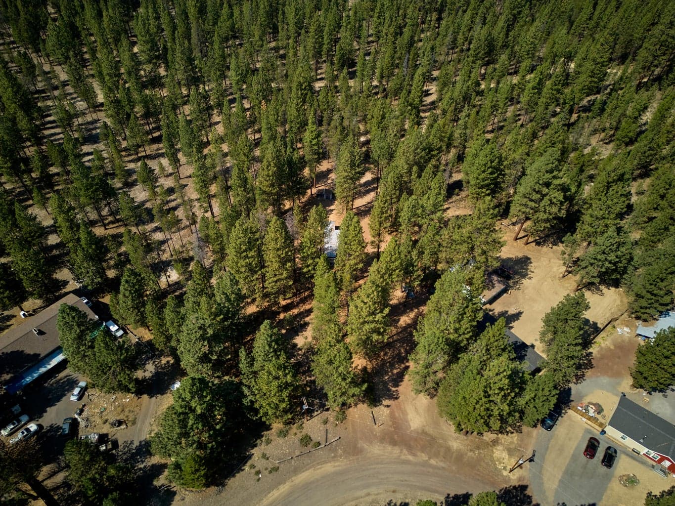 Photo of 15352 Bear 4 of 13