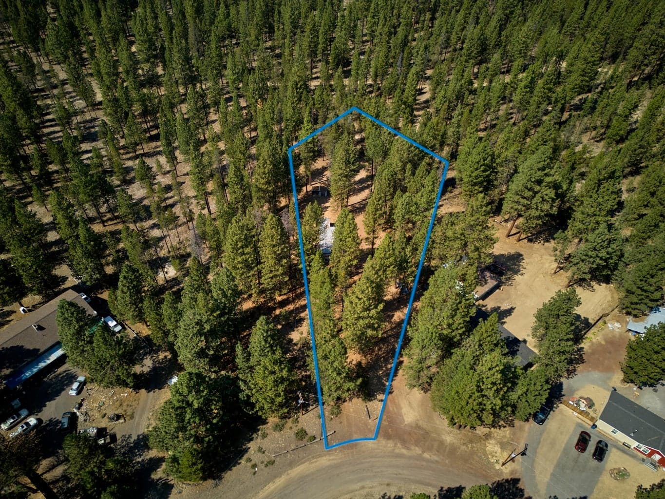 Photo of 15352 Bear 5 of 13