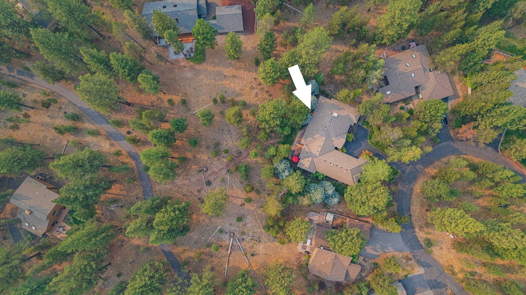 Photo of 17553 Forest Lane 64 of 67