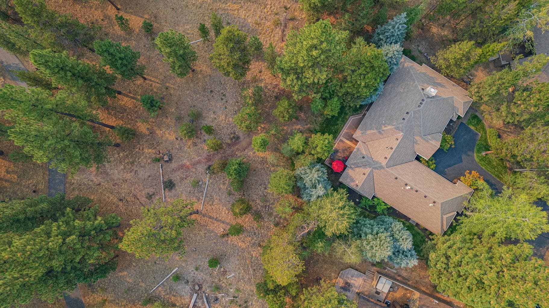 Photo of 17553 Forest Lane 63 of 67