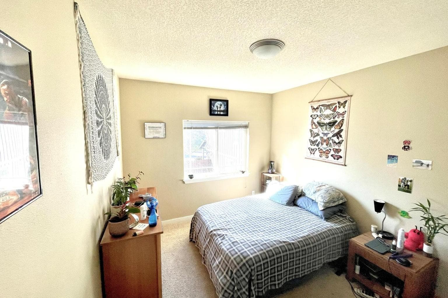 Photo of 21019 Carl Street 7 of 19