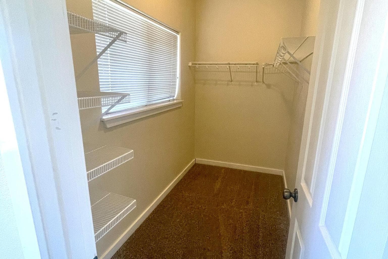 Photo of 21019 Carl Street 17 of 19