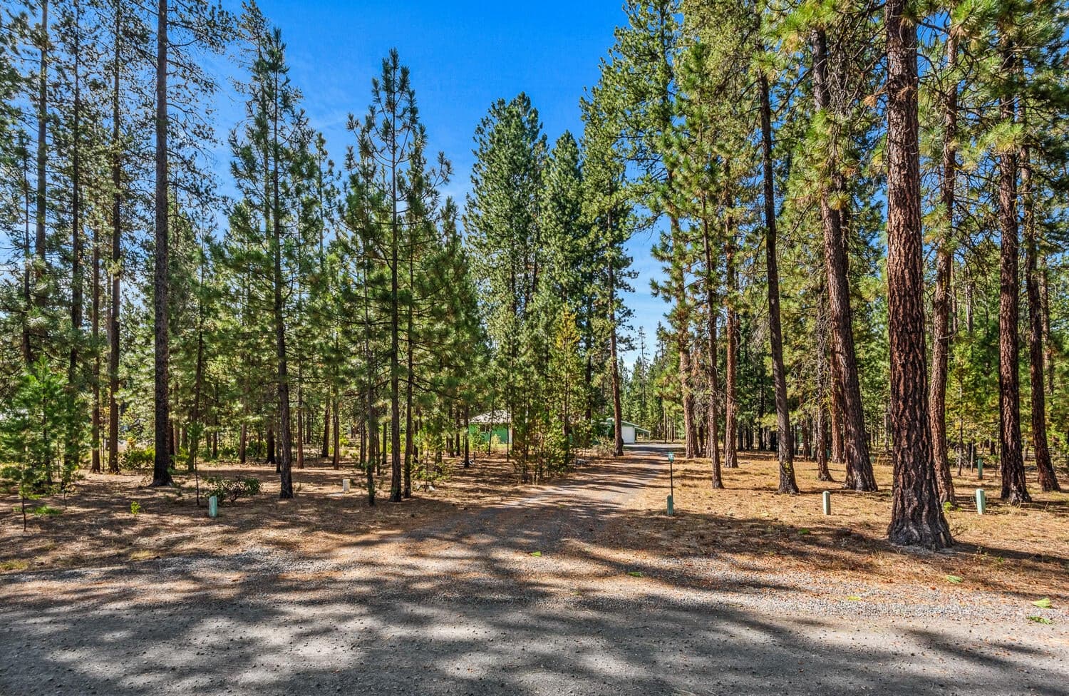 Photo of 14765 N Sugar Pine Way 2 of 31