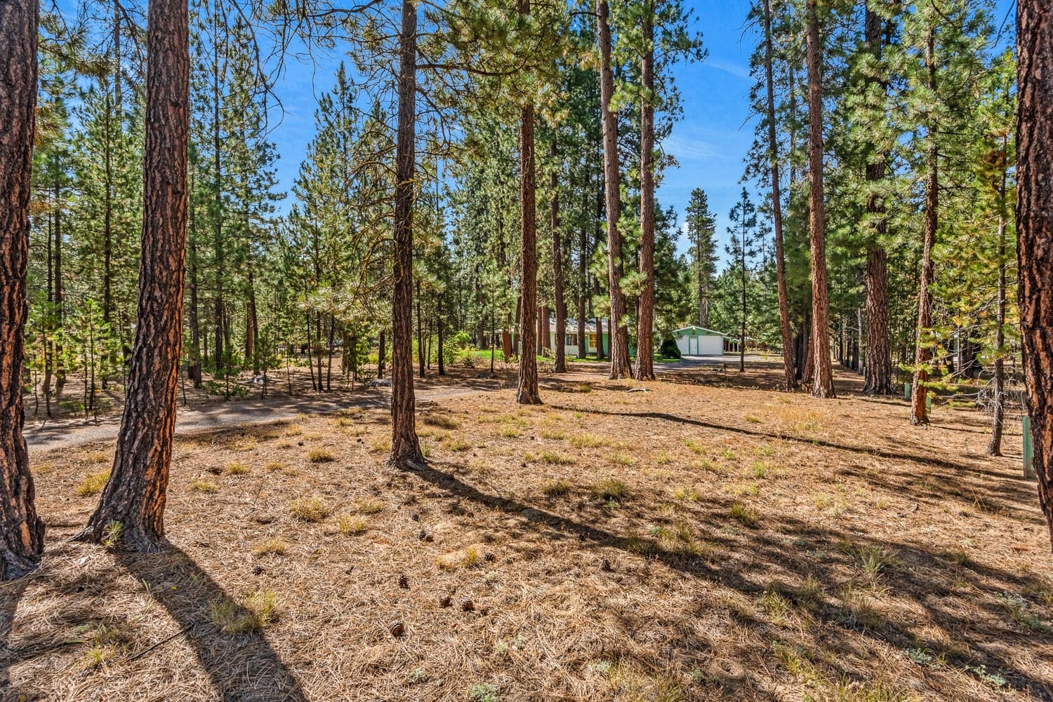 Photo of 14765 N Sugar Pine Way 3 of 31