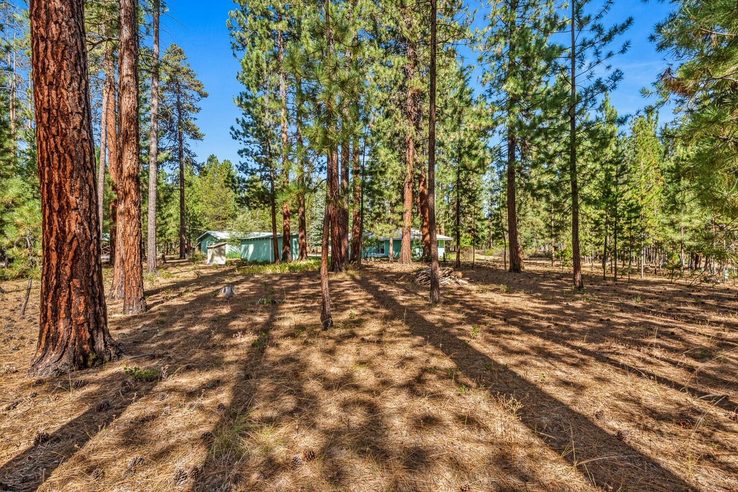 Photo of 14765 N Sugar Pine Way 29 of 31