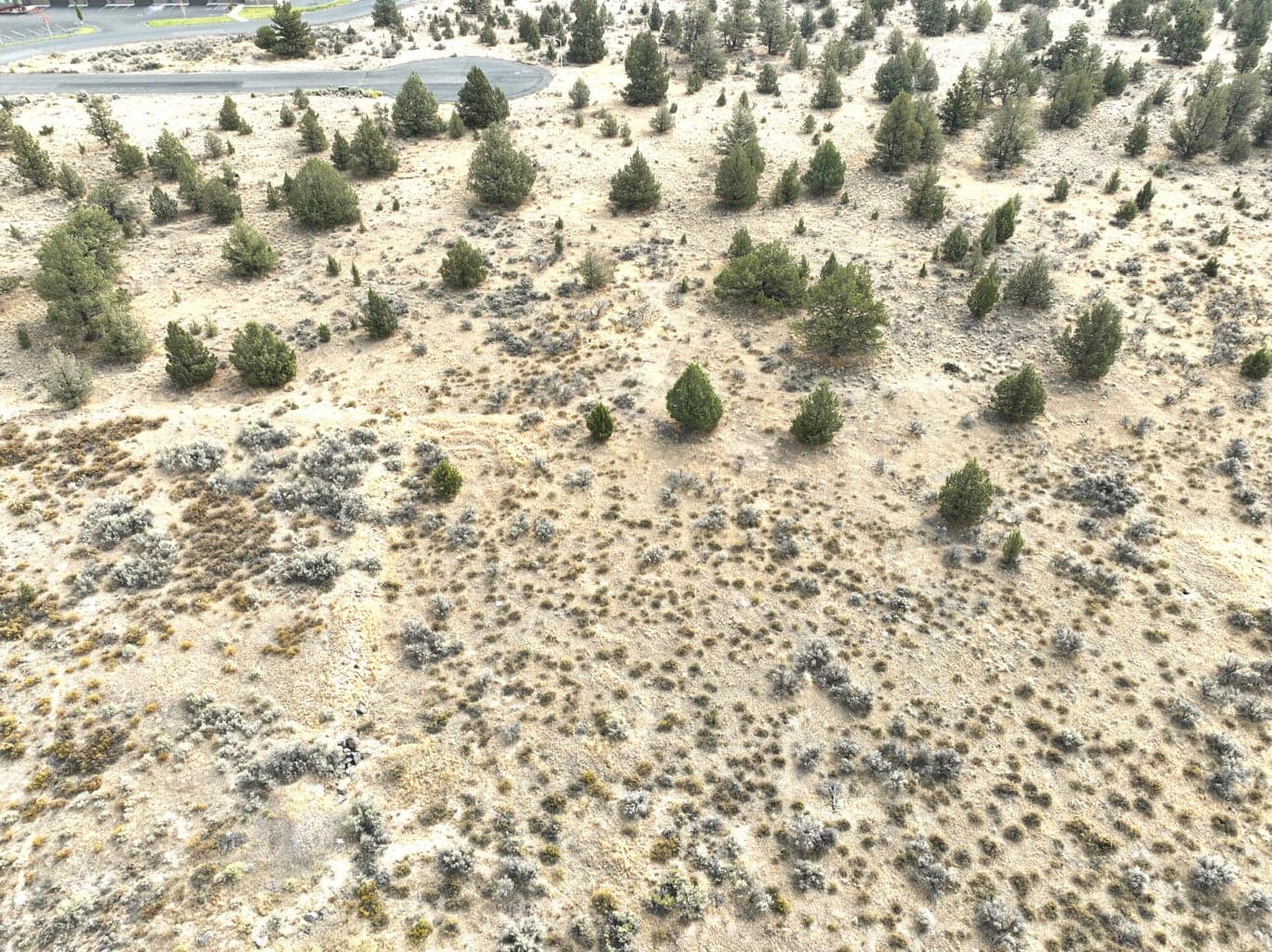 Photo of SW Plateau Court 6 of 14