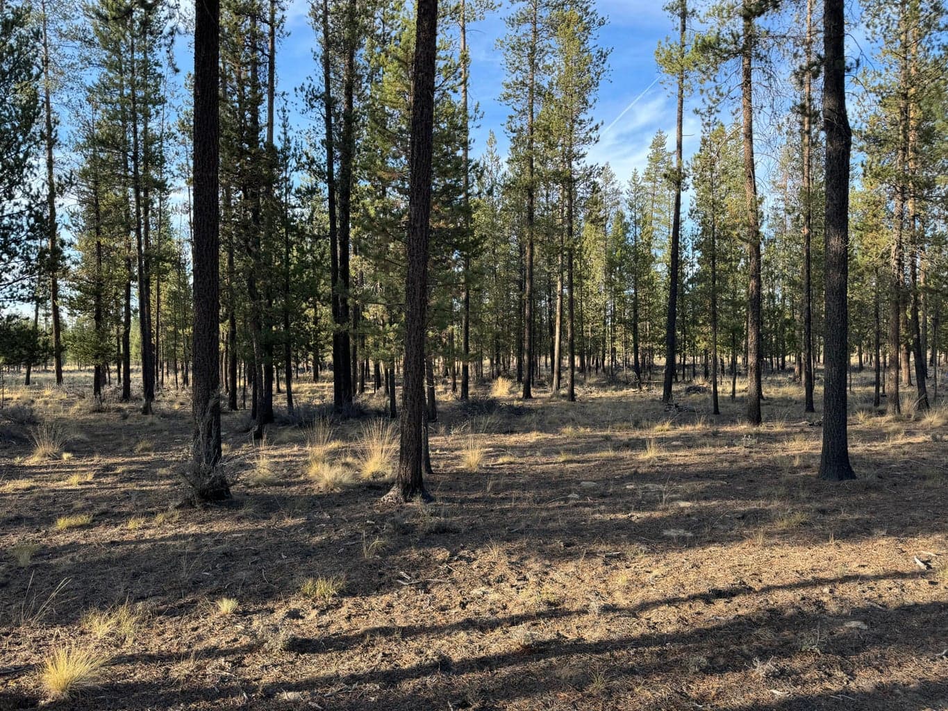 Photo of Sun Forest Drive 2 of 4