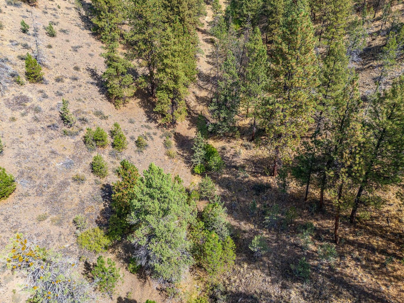 Photo of 15315 NE Schnieder Way 16 of 37
