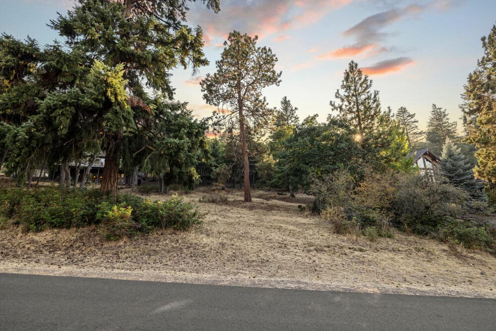 Photo of Coopers Hawk lot 856 1 of 9