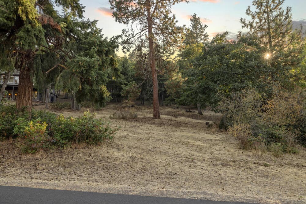 Photo of Coopers Hawk lot 856 2 of 9