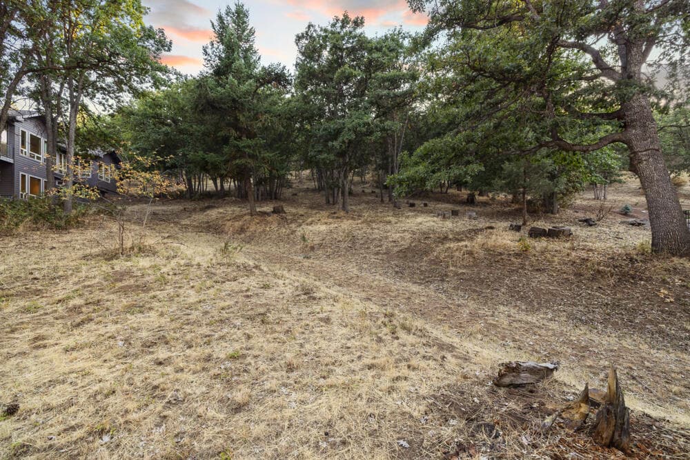 Photo of Coopers Hawk lot 856 4 of 9