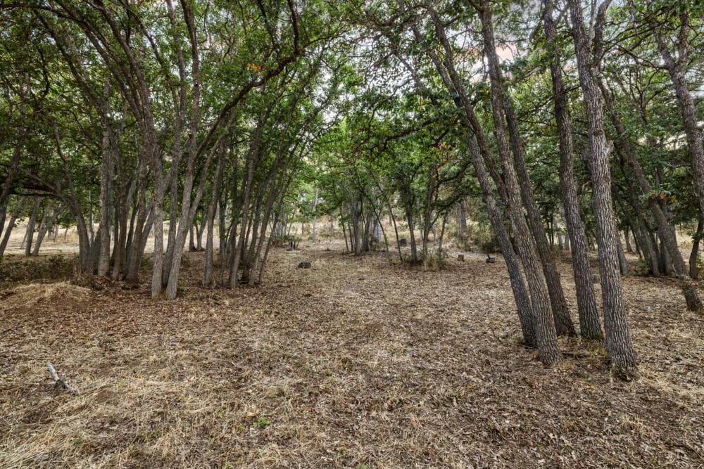 Photo of Coopers Hawk lot 856 5 of 9