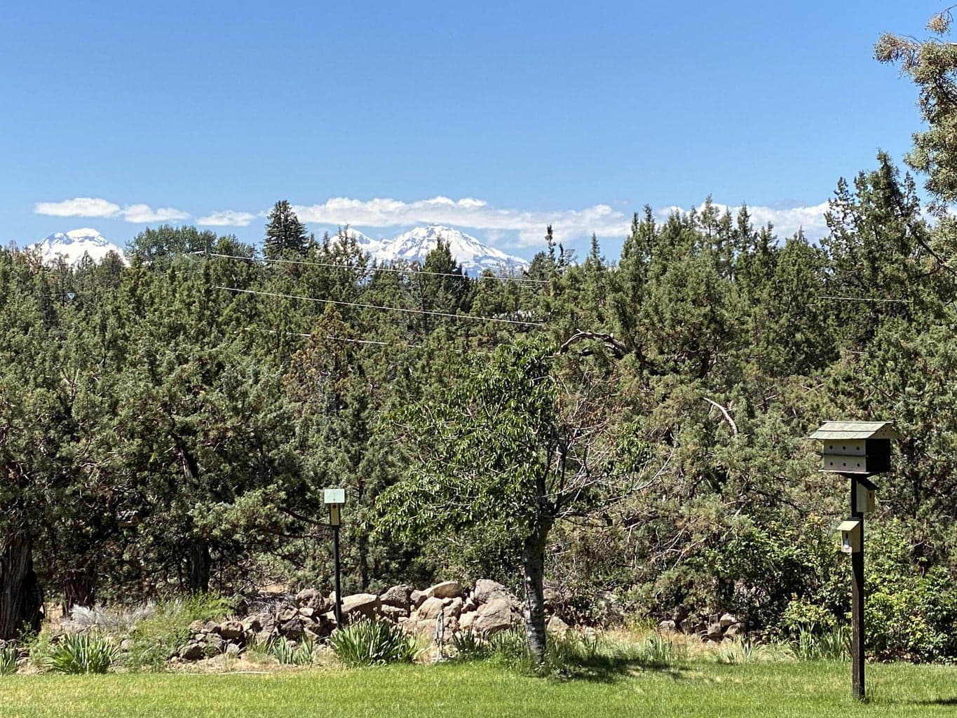 Photo of 3753 25th 2 of 32