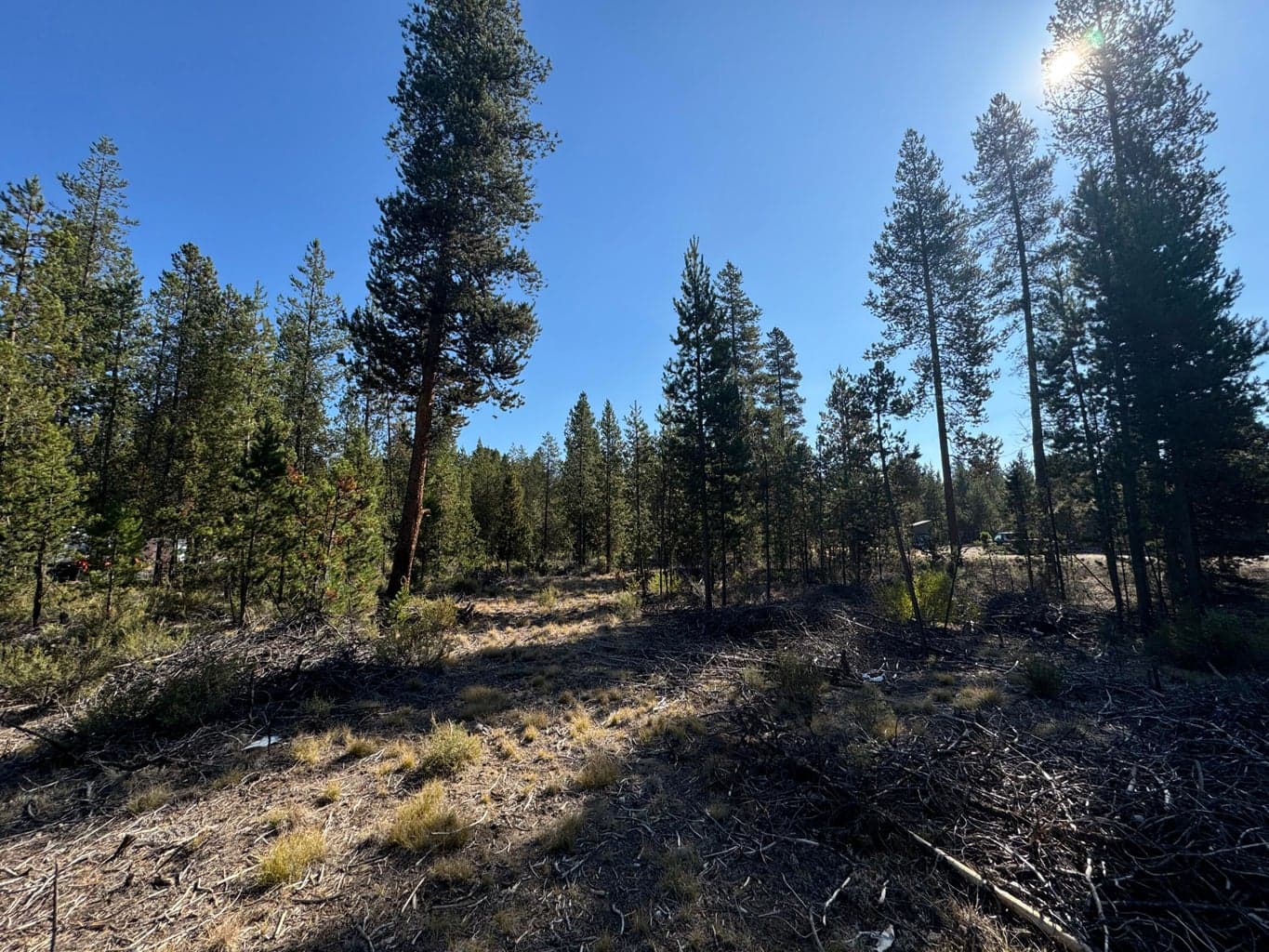 Photo of 53260 Deep Woods Road 5 of 6