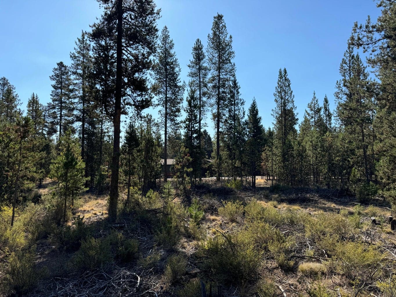 Photo of 53260 Deep Woods Road 6 of 6