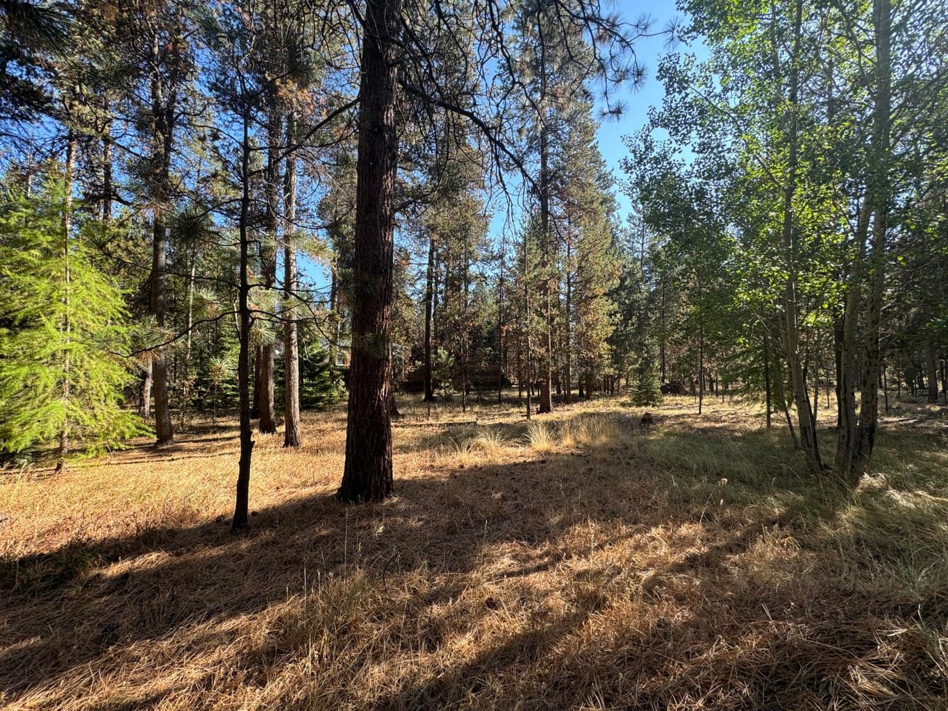 Photo of 53357 Pole Pine Road 45 of 45