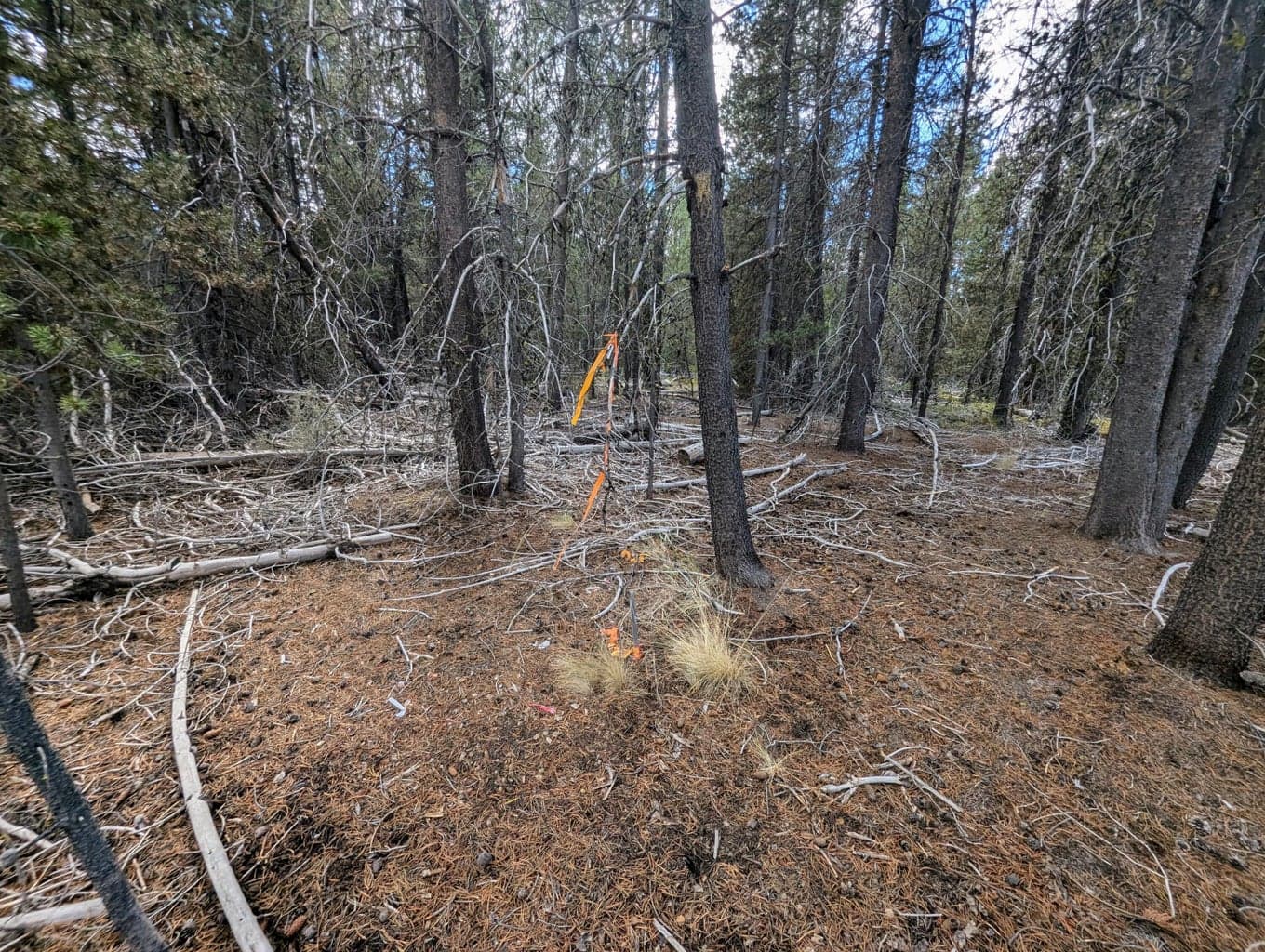 Photo of TL 9400 Scott View Dr 3 of 13
