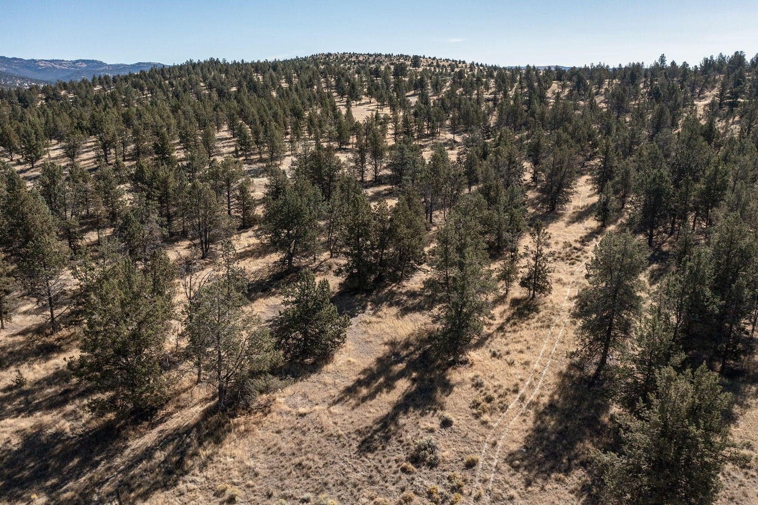 Photo of 5598 N Mckay Road 7 of 81