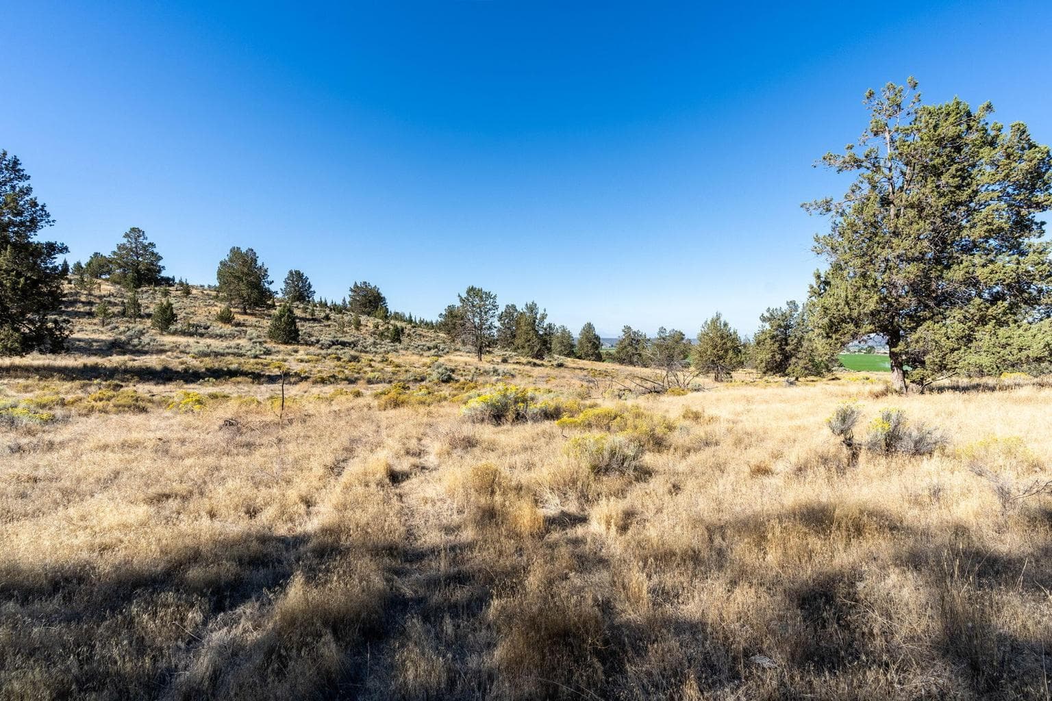 Photo of 5598 N Mckay Road 50 of 81