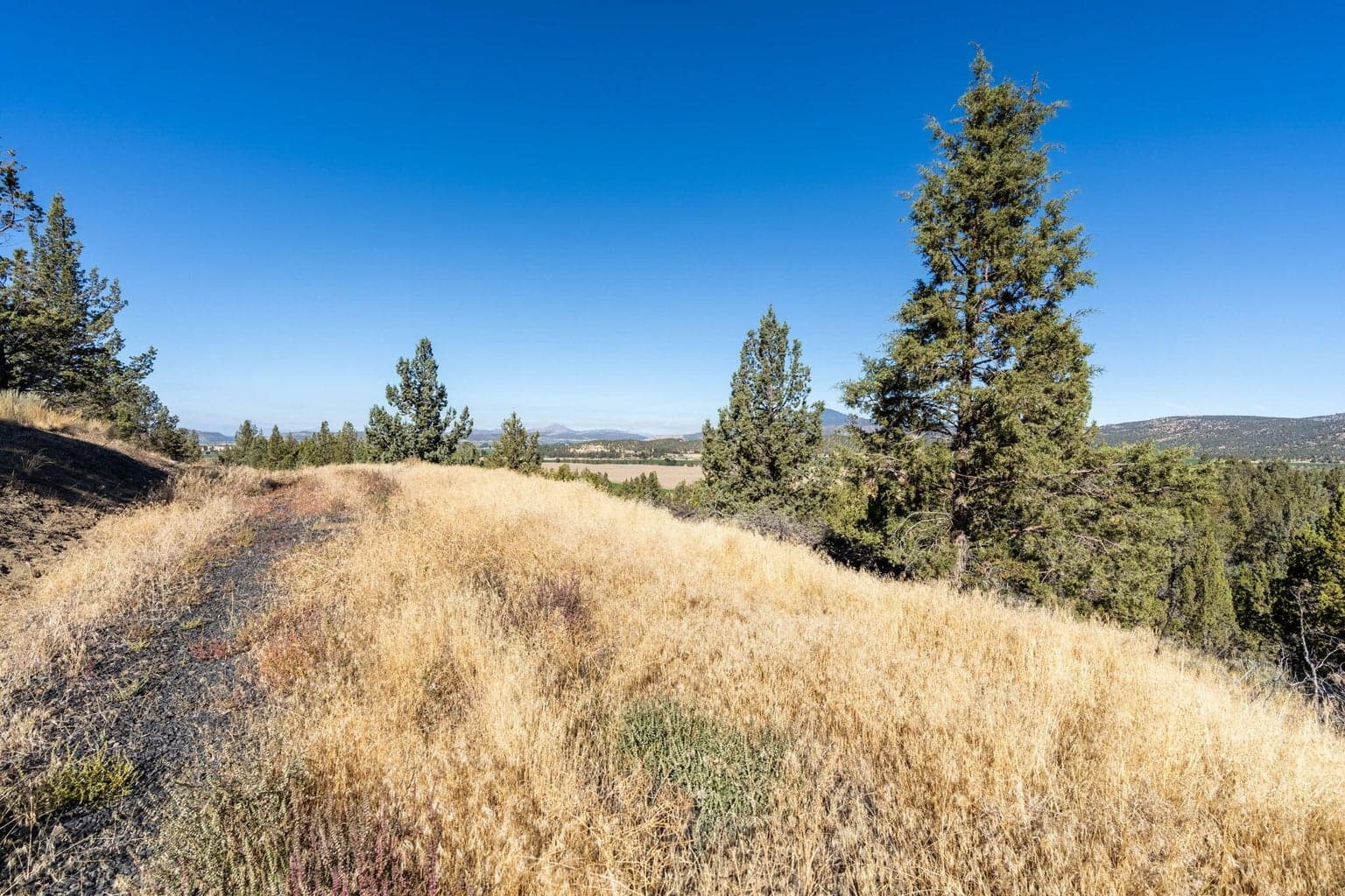 Photo of 5598 N Mckay Road 51 of 81