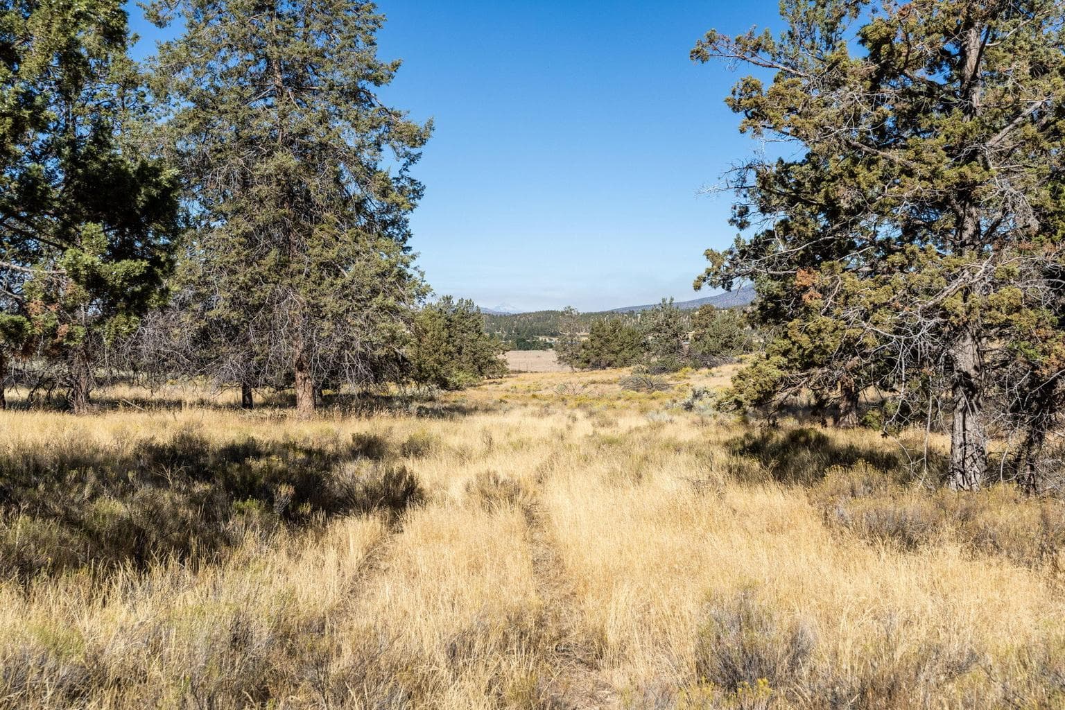 Photo of 5598 N Mckay Road 55 of 81
