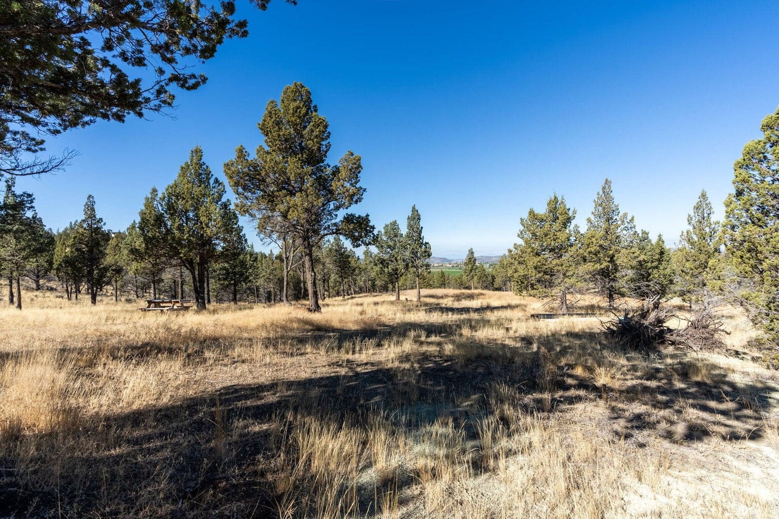 Photo of 5598 N Mckay Road 56 of 81