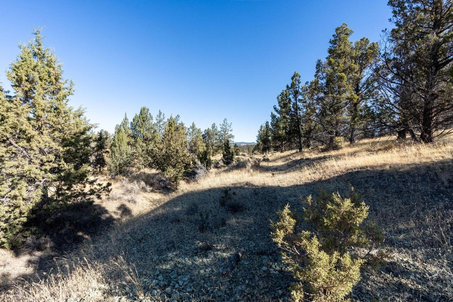 Photo of 5598 N Mckay Road 58 of 81