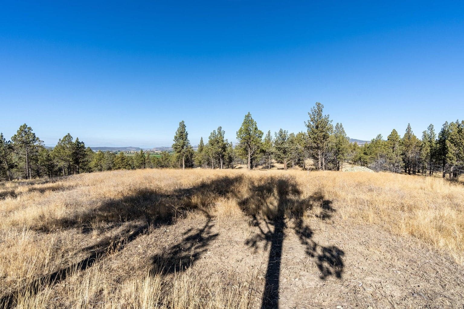 Photo of 5598 N Mckay Road 59 of 81