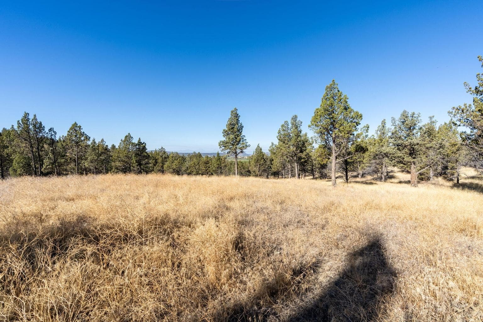 Photo of 5598 N Mckay Road 60 of 81