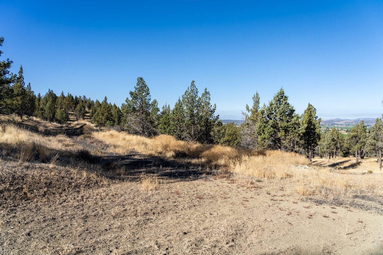 Photo of 5598 N Mckay Road 66 of 81