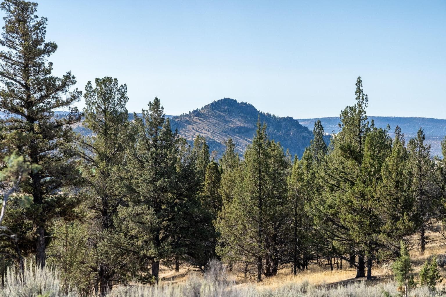 Photo of 5598 N Mckay Road 71 of 81