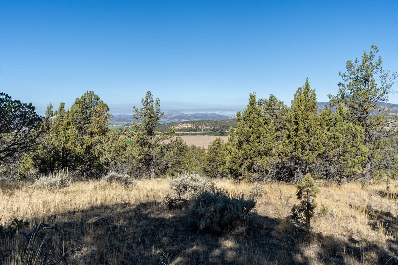 Photo of 5598 N Mckay Road 73 of 81
