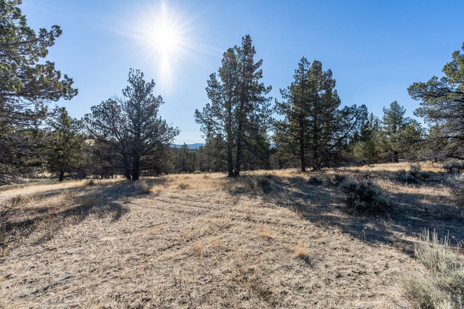 Photo of 5598 N Mckay Road 74 of 81