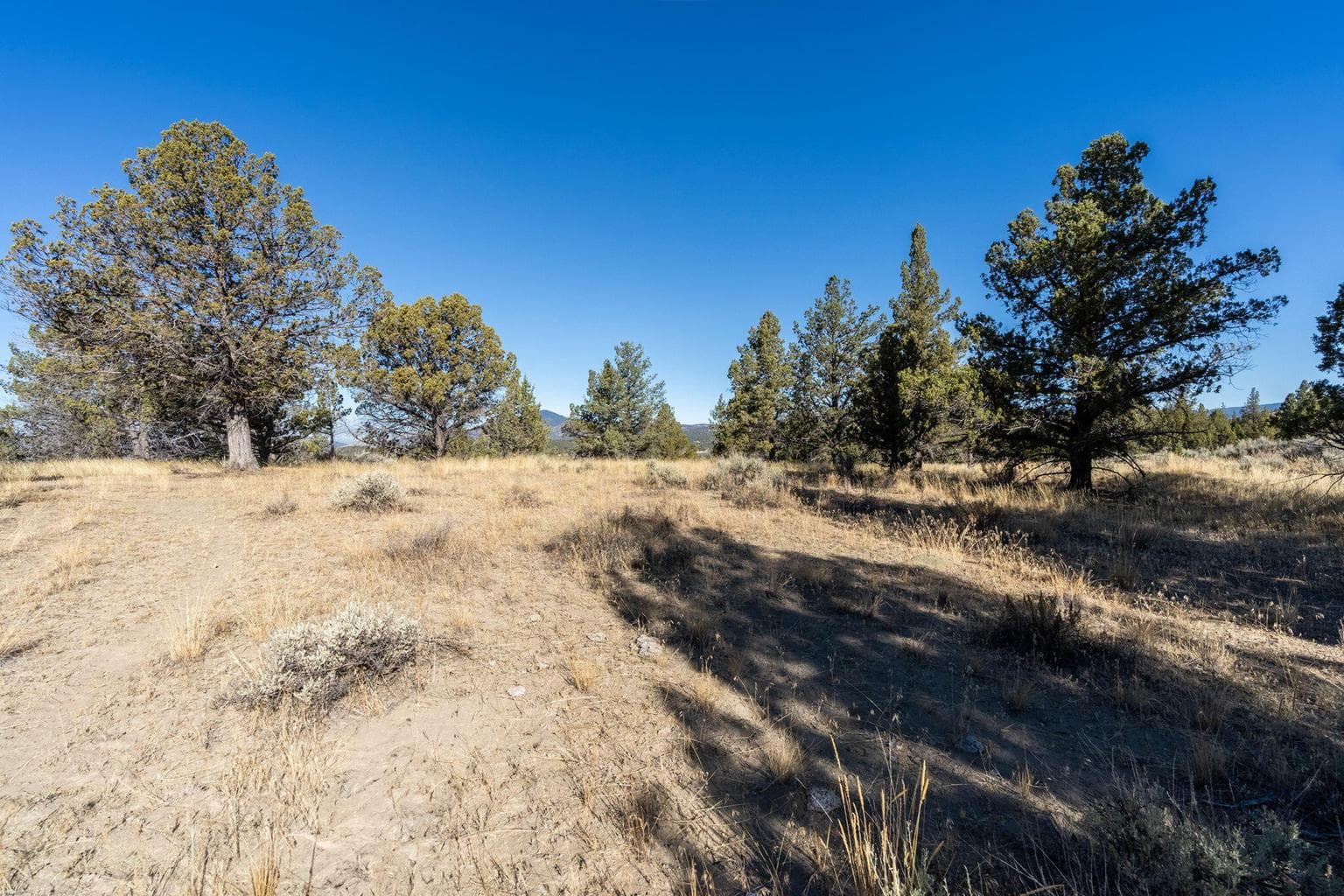 Photo of 5598 N Mckay Road 75 of 81