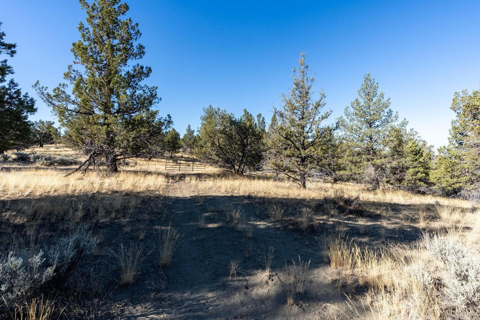 Photo of 5598 N Mckay Road 78 of 81