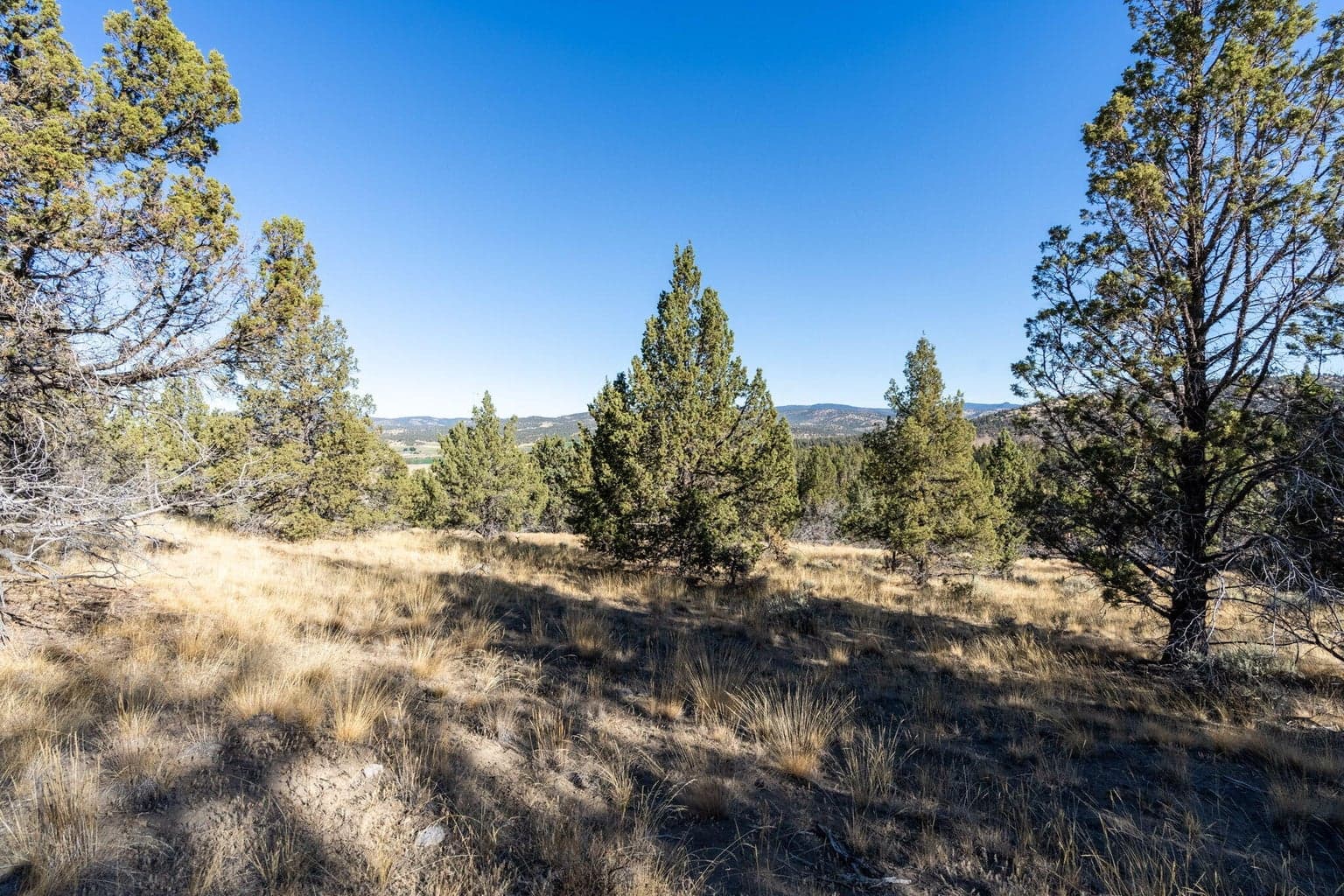 Photo of 5598 N Mckay Road 79 of 81