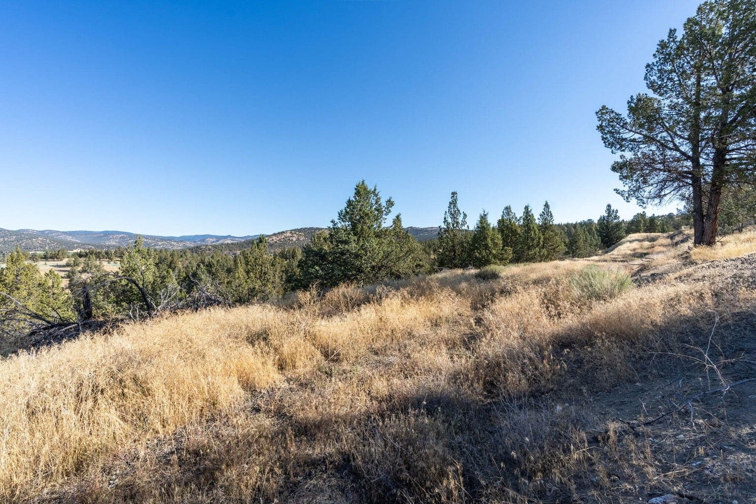 Photo of 5598 N Mckay Road 81 of 81